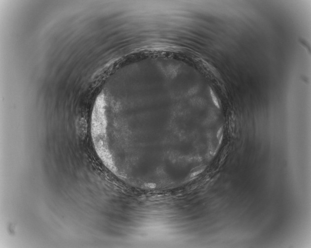 X0000102490821200808291647