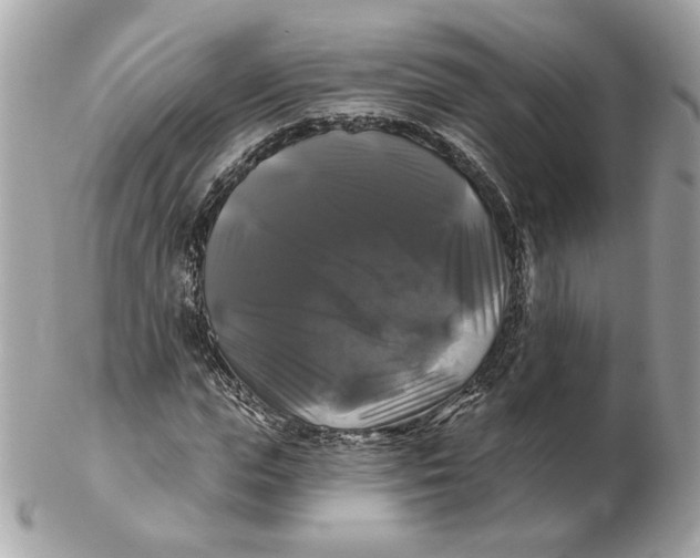 X0000102490823200808291647