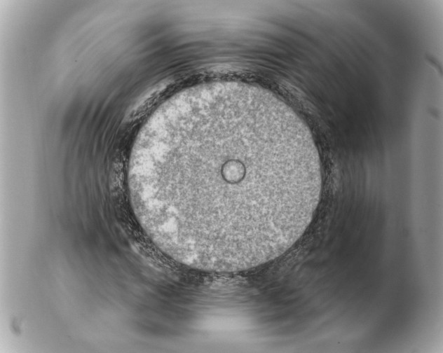 X0000102490824200808291647