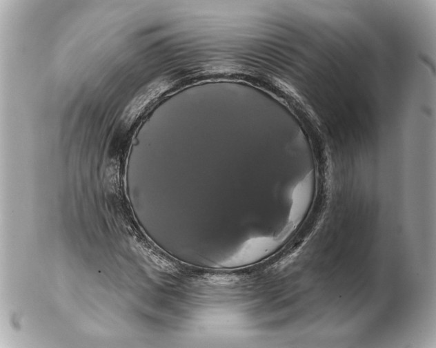 X0000102490825200808291647