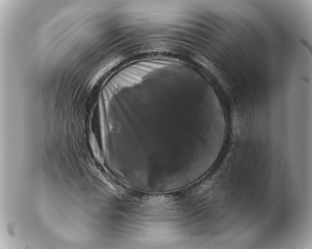 X0000102490826200808291647