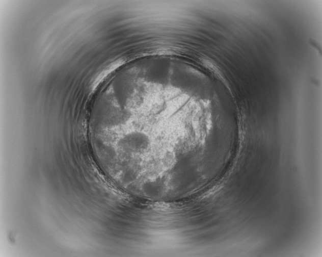 X0000102490827200808291647