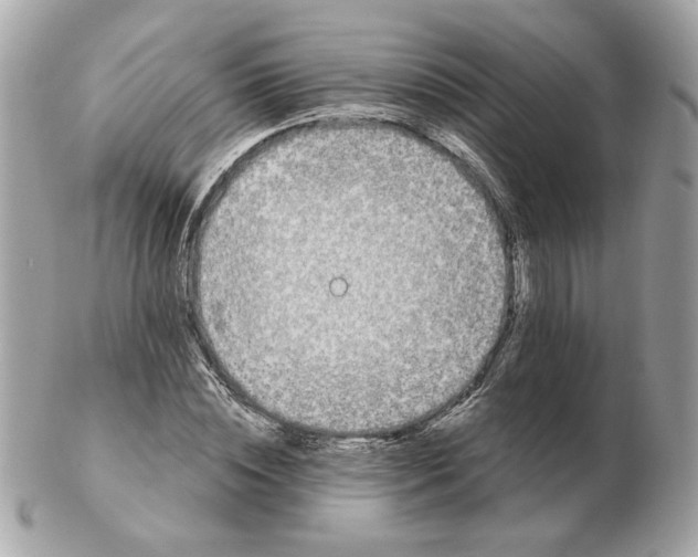 X0000102490828200808291647