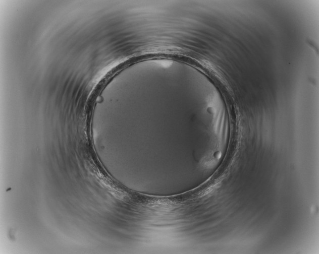 X0000102490830200808291647