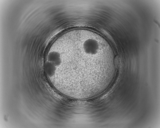 X0000102490831200808291647