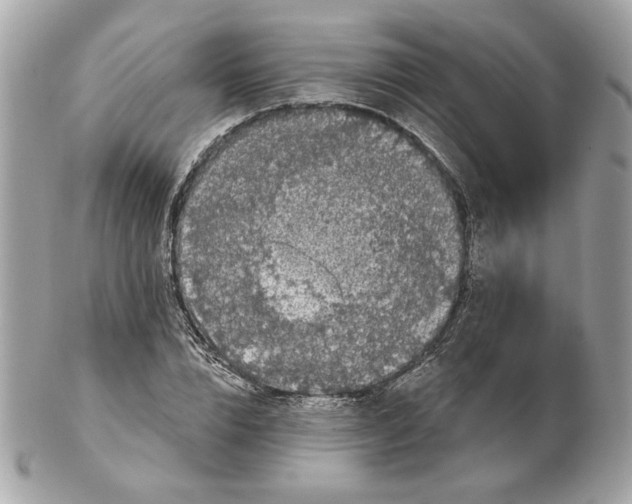 X0000102490832200808291647