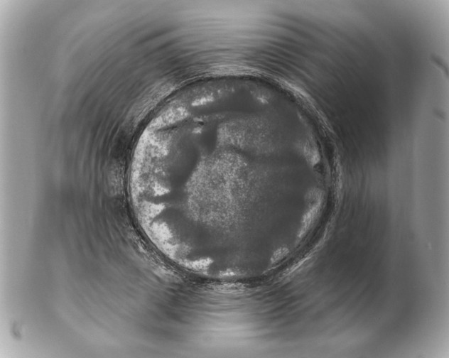 X0000102490833200808291647