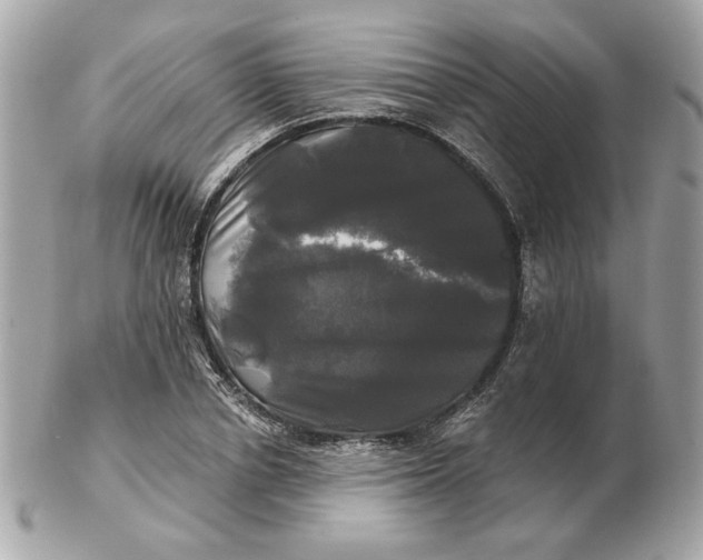 X0000102490834200808291647