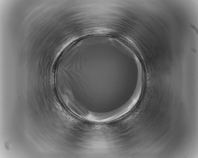 X0000102490835200808291647