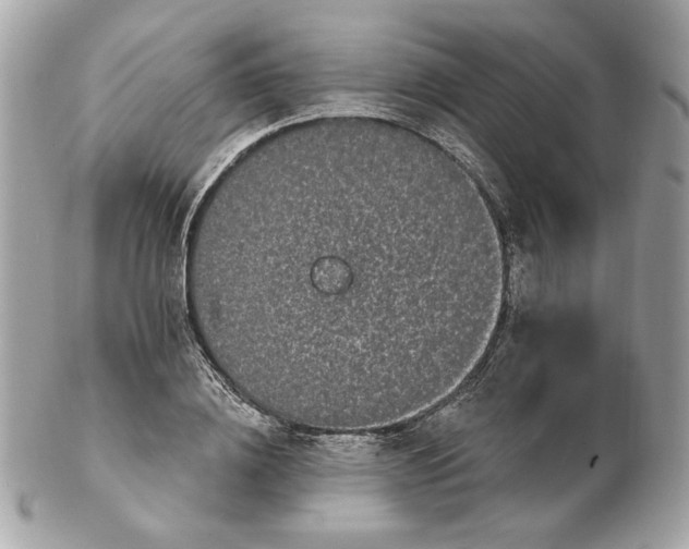 X0000102490836200808291647