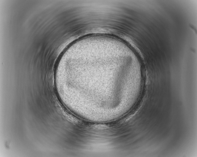 X0000102490837200808291647