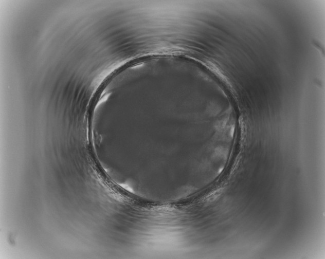 X0000102490838200808291647