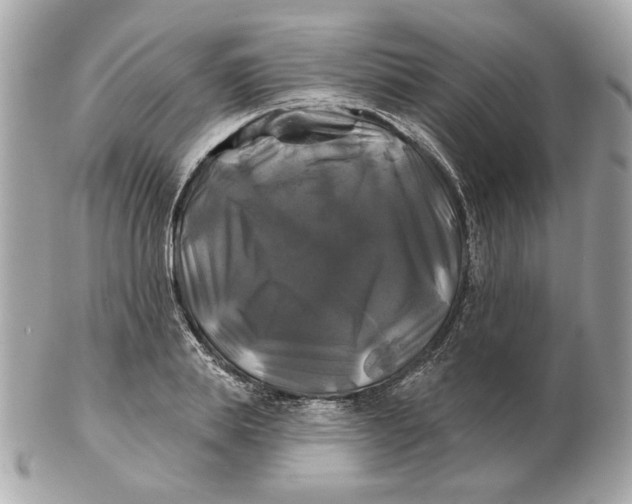 X0000102490839200808291647