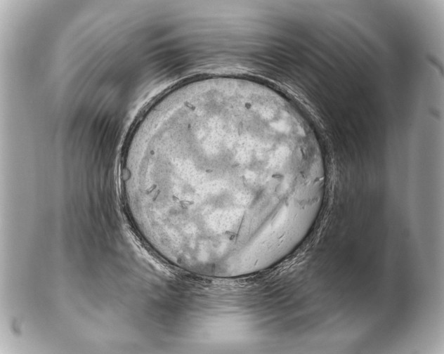 X0000102490840200808291647