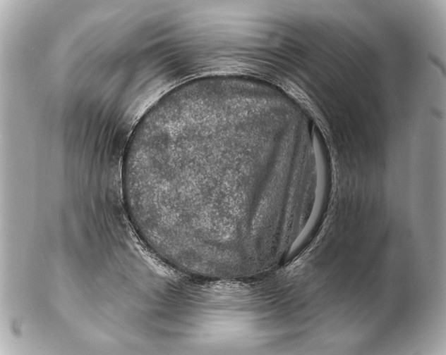 X0000102490842200808291647