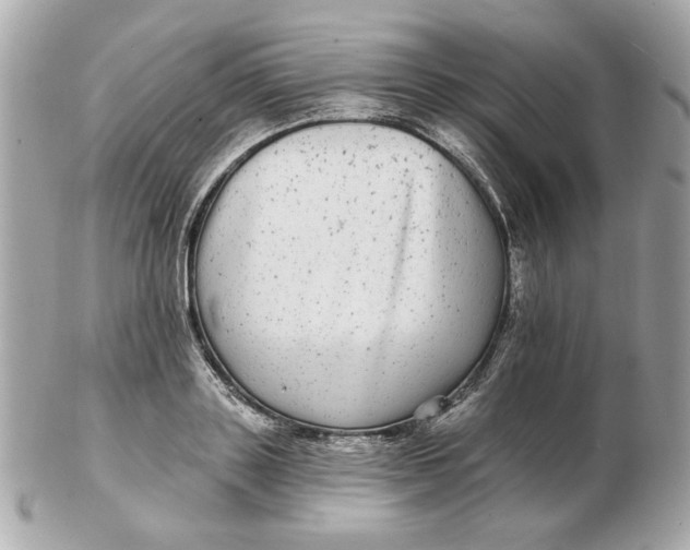 X0000102490843200808291647