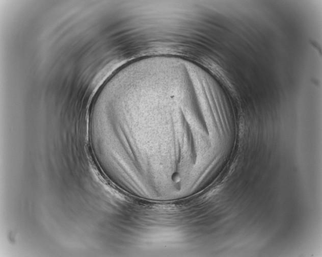 X0000102490844200808291647