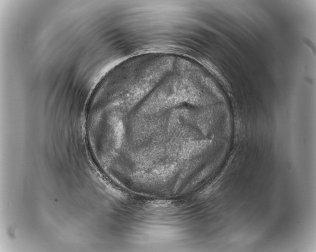 X0000102490846200808291647