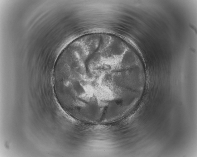 X0000102490847200808291647