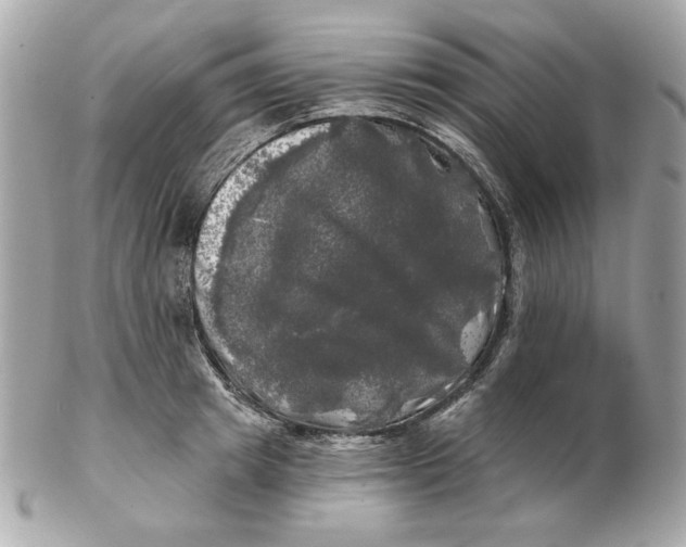 X0000102490849200808291647