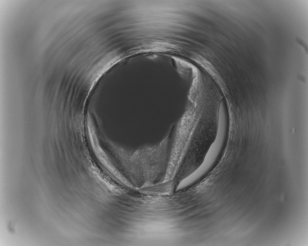 X0000102490850200808291647