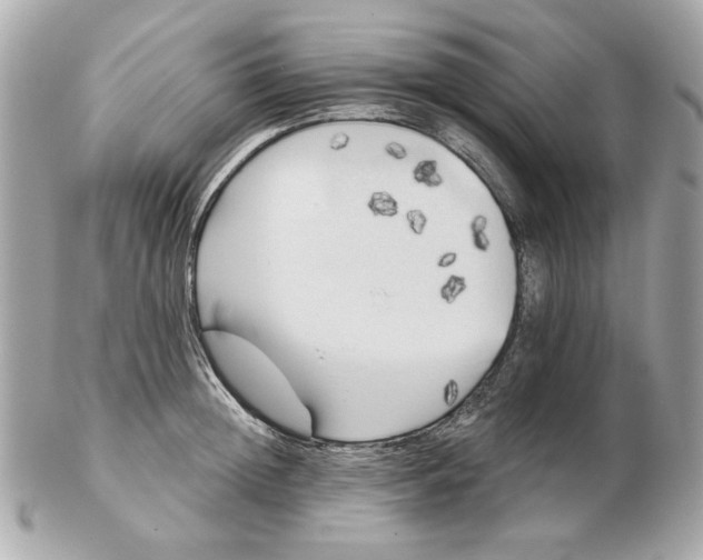 X0000102490852200808291647