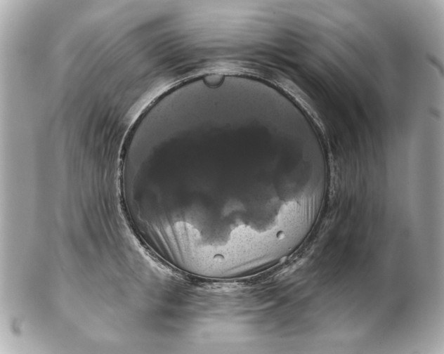 X0000102490853200808291647