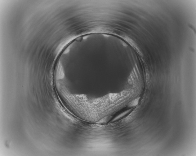 X0000102490854200808291647