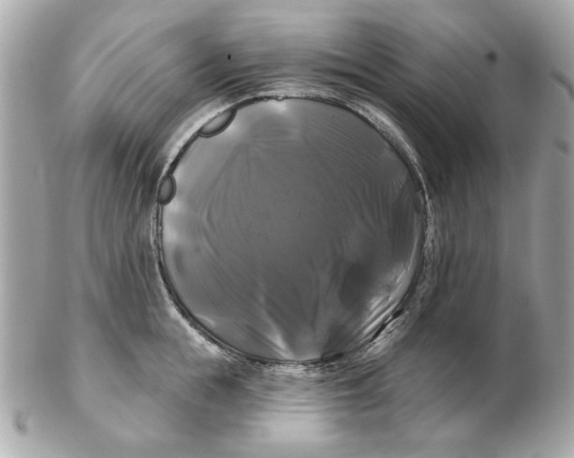 X0000102490855200808291647