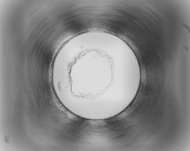 X0000102490856200808291647