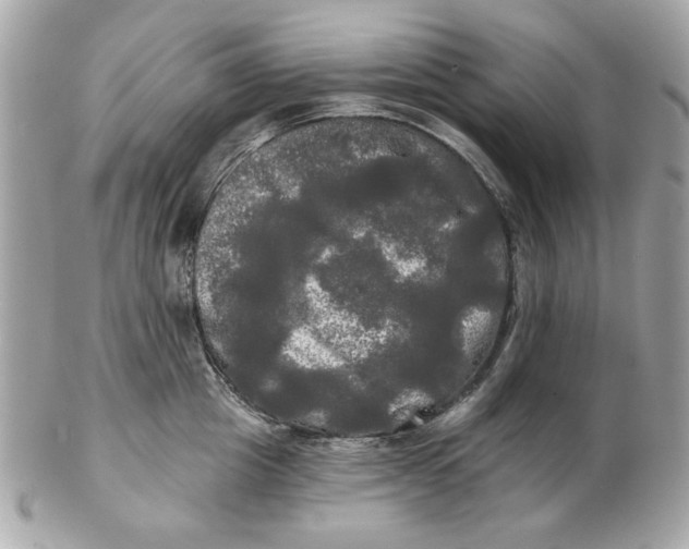 X0000102490857200808291648