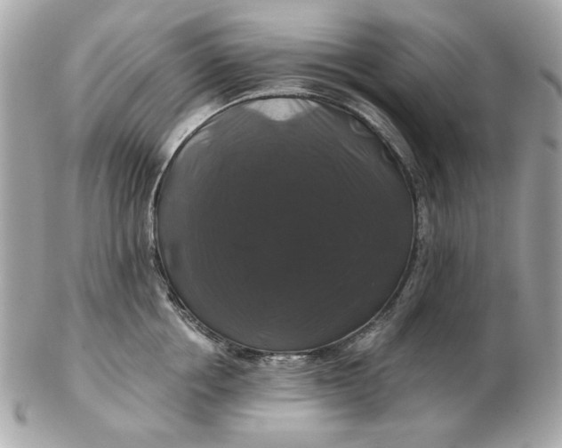 X0000102490858200808291648