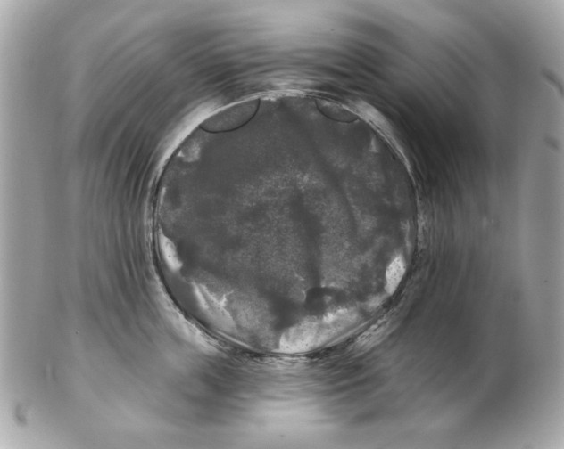 X0000102490859200808291648