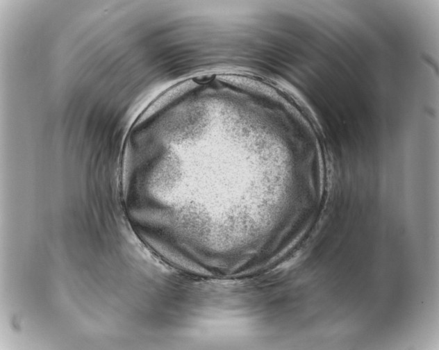 X0000102490860200808291648