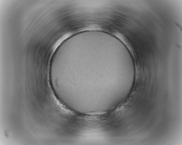 X0000102490861200808291648