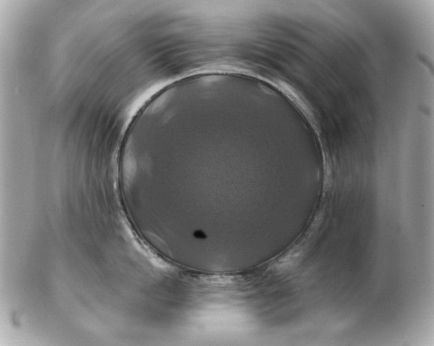 X0000102490862200808291648