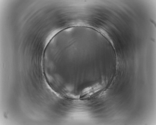 X0000102490863200808291648