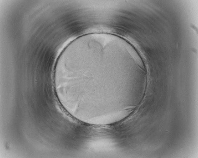 X0000102490864200808291648