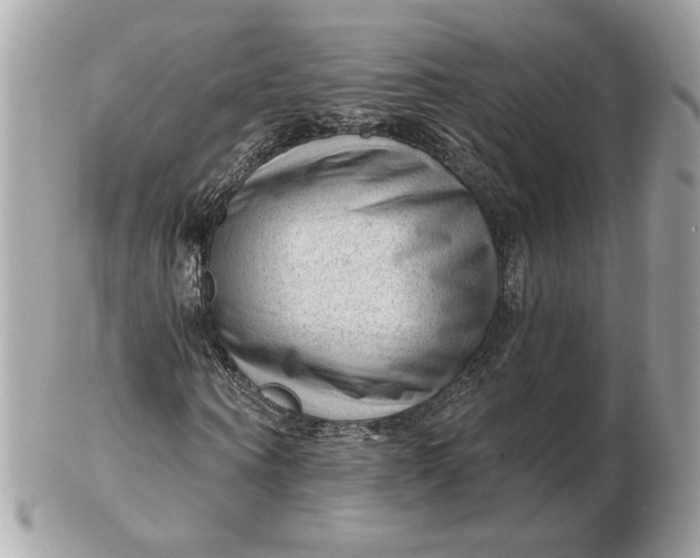 X0000102490866200808291647