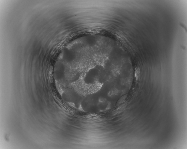 X0000102490867200808291647