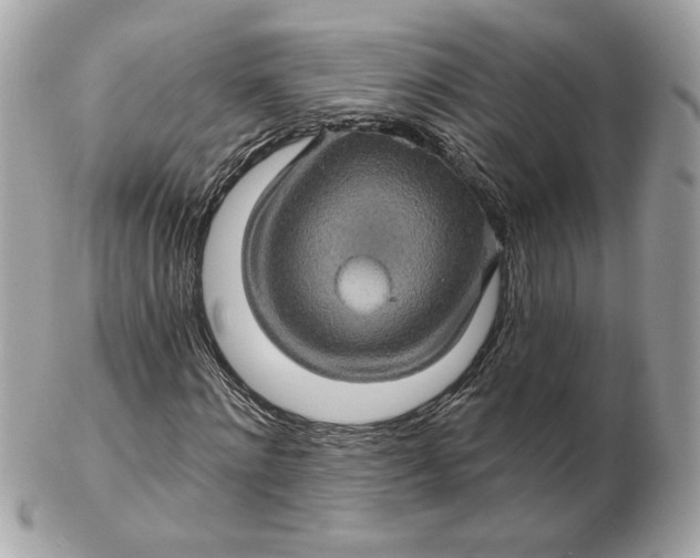 X0000102490868200808291647