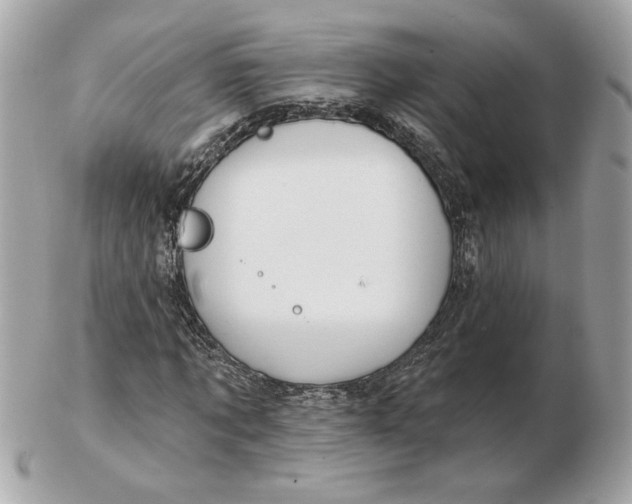 X0000102490869200808291647