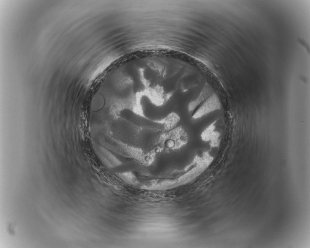 X0000102490871200808291647