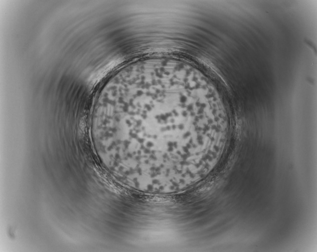 X0000102490874200808291647