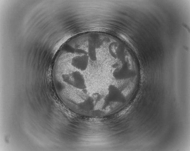 X0000102490875200808291647