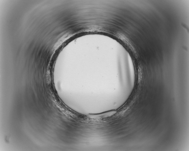 X0000102490876200808291647