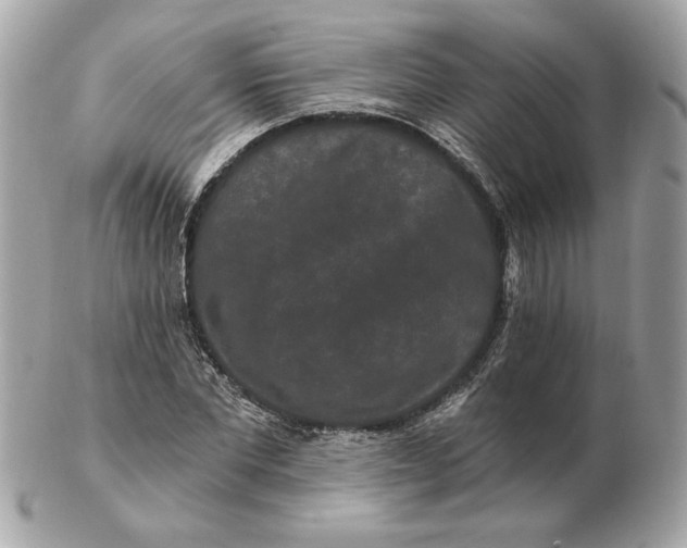 X0000102490877200808291647