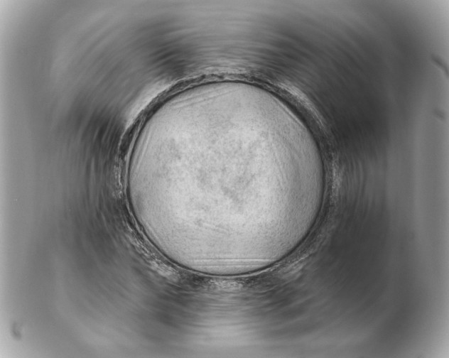 X0000102490878200808291647