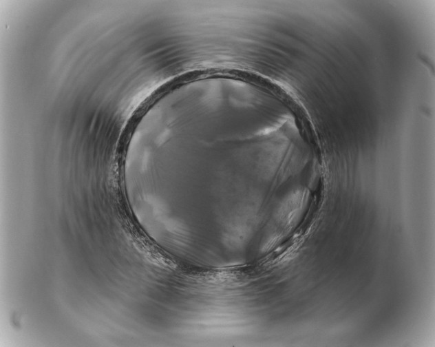 X0000102490879200808291647