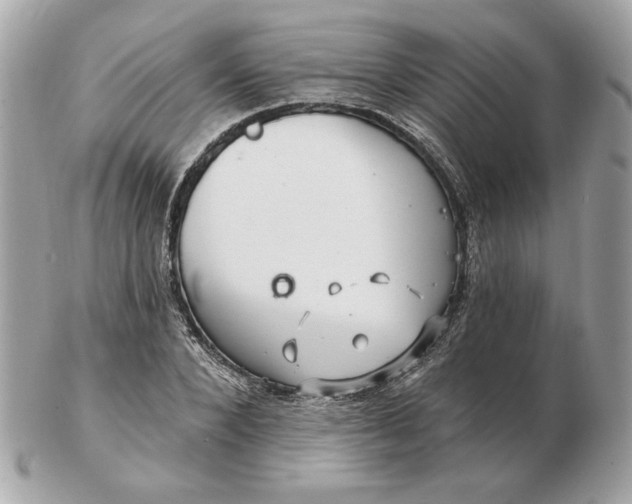 X0000102490880200808291647